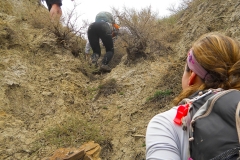 Going Vertical